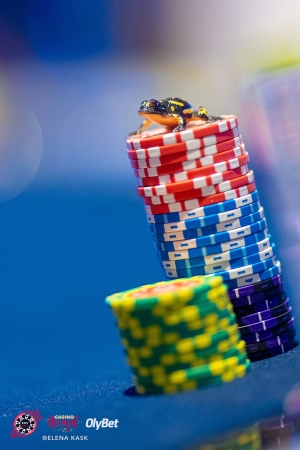 Selgusid Eesti meistrivõistluste põhiturniiri finalistid